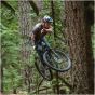 Schwalbe Romy Gravity Pro Radial TLR 27.5-Inch Tubeless Tyre