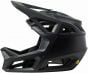 Fox Proframe RS Matte Helmet