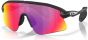 Oakley Stunt Devil Sunglasses