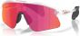 Oakley Stunt Devil Sunglasses