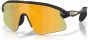 Oakley Stunt Devil Sunglasses