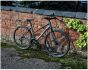 Dawes Discovery 1.0 Low Step 2026 Bike