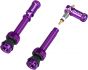 Granite Match Juicy Nipple Valve Stem and Cap