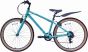 Raleigh Pop 24-Inch Junior Bike