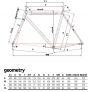 Cinelli Tutto Plus Mutant Silver Flat Bar Bike