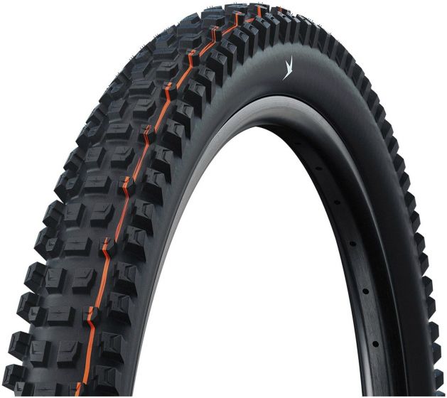 Schwalbe Albert Gravity Pro Radial Soft TLR 29-Inch Tubeless Tyre
