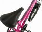 Falcon Jade 20-Inch Junior Bike