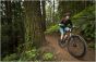 Marin Wildcat Trail 5 2021 Womens Bike