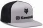 Fox X Kawasaki Snapback Hat