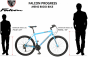 Falcon Progress 2020 Bike