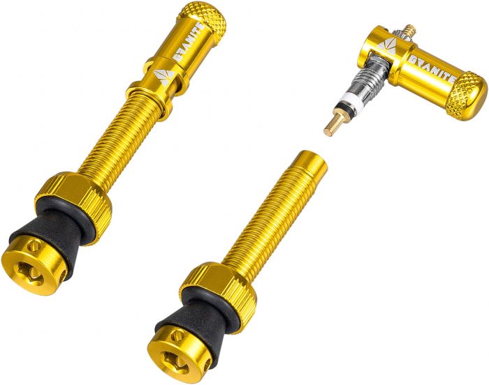 Granite Match Juicy Nipple Valve Stem and Cap – Gold