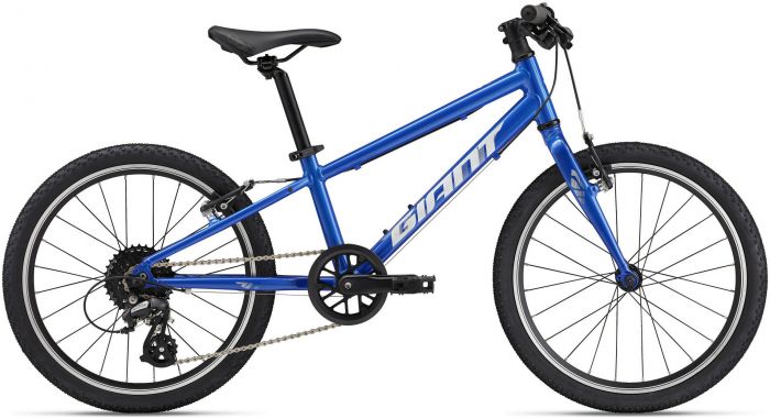 Giant ARX 20 2025 Kids Bike