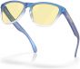 Oakley Frogskins XS Youth Sunglasses