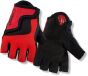 Giro Bravo Youth Short Finger Gloves