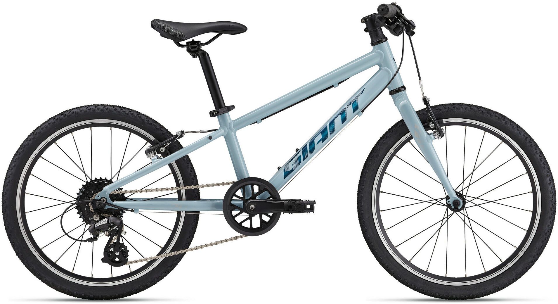 Giant ARX 20 2025 Kids Bike
