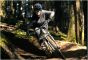 Liv Embolden 2026 Womens Bike