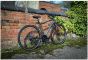 Dawes Discovery 1.0 Cross Bar 2026 Bike