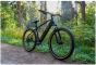 Falcon Turbine 2026 Electric Bike