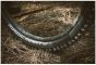 Schwalbe Magic Mary Gravity Pro Radial Soft TLR 27.5-Inch Tubeless Tyre