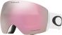 Oakley Flight Deck L Snow Goggles