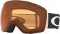 Oakley Flight Deck L Snow Goggles