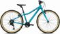 Ridgeback Dimension 24-Inch 2026 Junior Bike