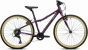 Ridgeback Dimension 24-Inch 2026 Junior Bike
