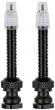 Vision Tubeless Valves