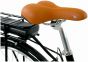 Falcon Heritage Low Step 2026 Electric Bike
