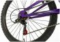 Falcon Siren 24-Inch Junior Bike