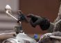 Quad Lock Motorcycle Vibration Dampener