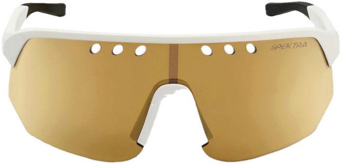 Assos Donzi Gold Sunglasses