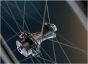 Campagnolo Bora Ultra WTO 35 C23 Disc 700c Wheelset