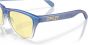 Oakley Frogskins XS Youth Sunglasses