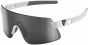 Giant Helio PolarVis Glasses