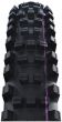 Schwalbe Shredda Gravity Pro Radial TLE 29-Inch Tubeless Rear Tyre
