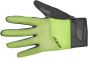 Giant Chill Gloves