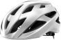 Giant Rev Comp MIPS Helmet