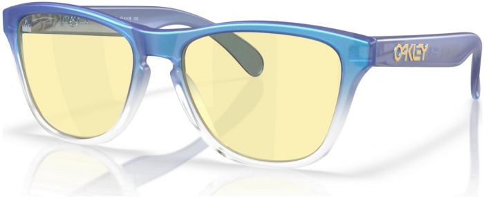 Oakley Frogskins XS Youth Sunglasses