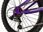 Falcon Moonstone 20-Inch Junior Bike