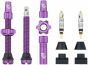 Wolf Tooth Tubeless Valve Stems