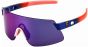 Giant Helio PolarVis Glasses