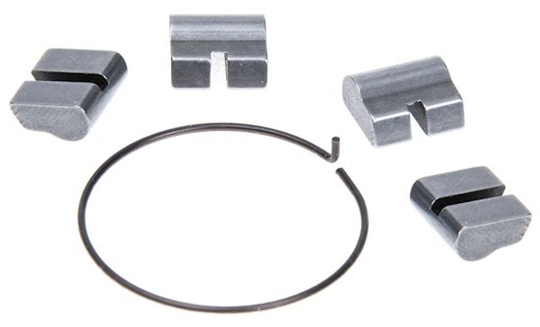 Salt Pro Spring and Pawls Kit