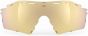 Rudy Project Cutline Replacement Sunglasses Lenses