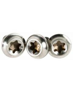 Cane Creek eeWings Chainring Bolts
