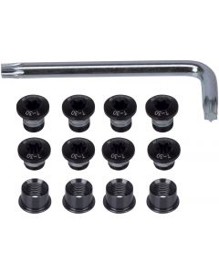 FSA MTB Triple Chainring Bolt Kit