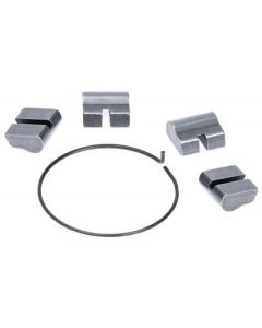 Salt Pro Spring and Pawls Kit