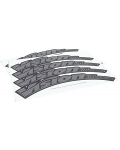 Vision SC 40 Disc 700c Wheel Decal Set