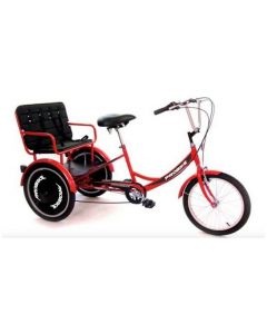 Probike T-800 Kids Carrier 2022 Tricycle