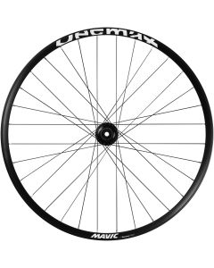 Mavic Deemax Park Disc 29-Inch Rear Wheel